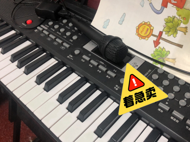 多功能电子琴初学者钢琴家用 61键
