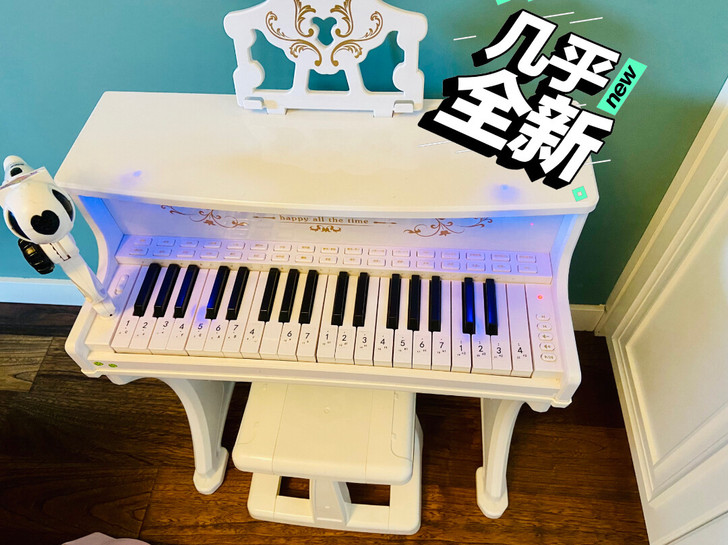 贝芬乐儿童电子琴