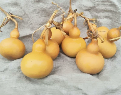 两箱葫芦共15个处理 天然葫芦大葫芦摆件风...