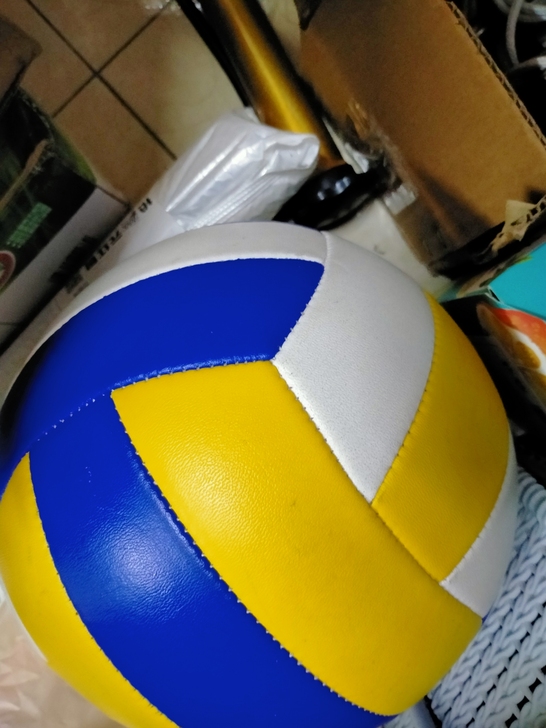 体育考试排球(送打气筒和打气针)仅限南昌大...