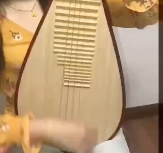 捡漏琵琶转,几乎全新,精品花梨木整背,原木...