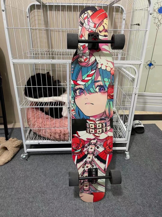 滑板长板舞板初学者刷街成人代步潮流学生原木...