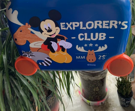 全新迪士尼行李箱，买了拉着回来轮子有磨损，...