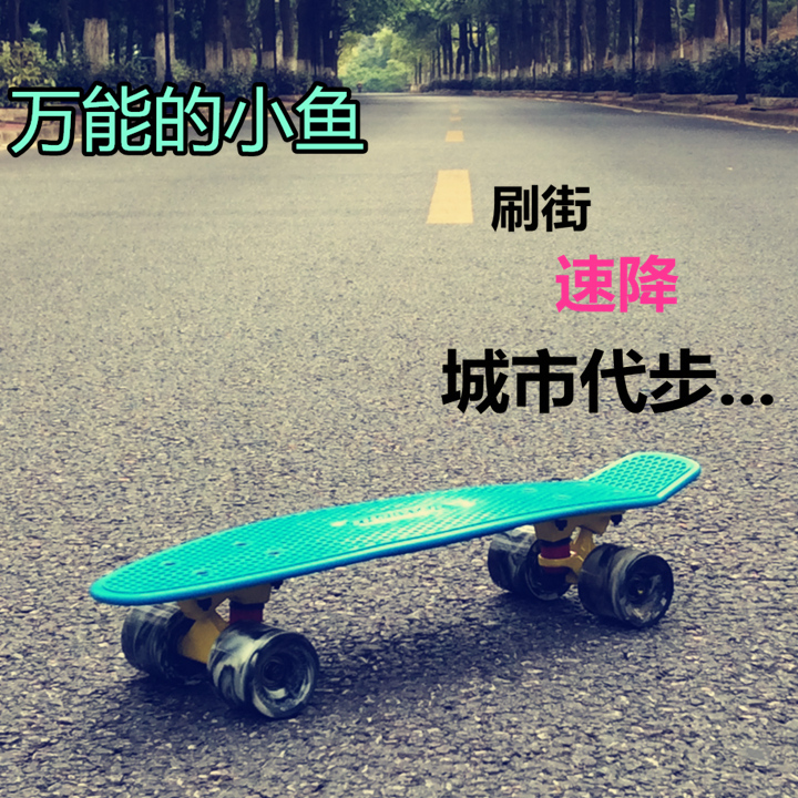 ABS小鱼板 超炫男女成人专业四轮滑板运动...