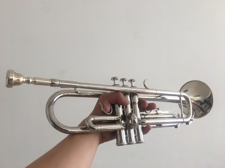 星海小号，星海乐器XT-120C，买了2年...