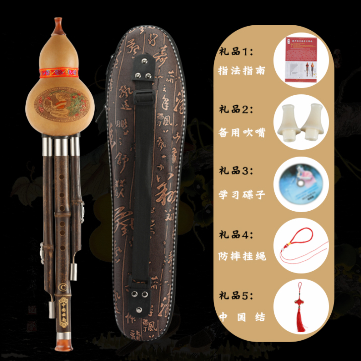 葫芦丝乐器初学入门小学生C调降B调A调成人...