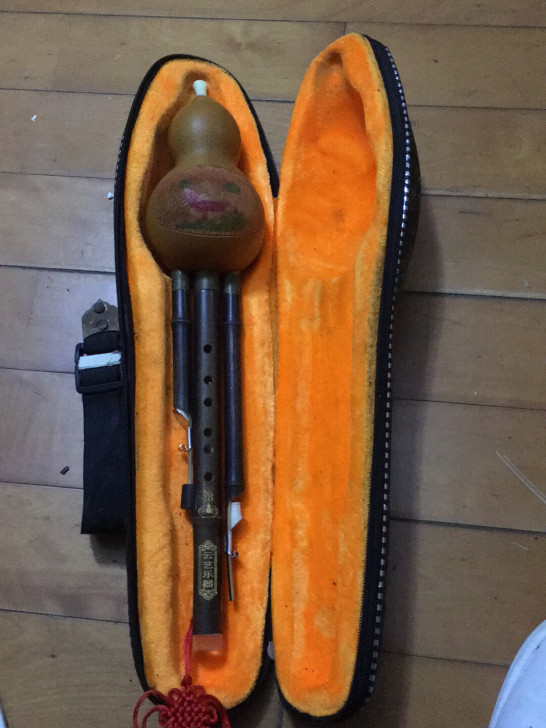 小孩学了一个月的葫芦丝转让需要的拿走，二手...