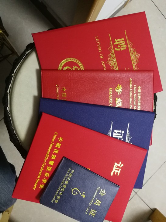 杭州滨江葫芦丝家教课，少年宫老师！五年教学...