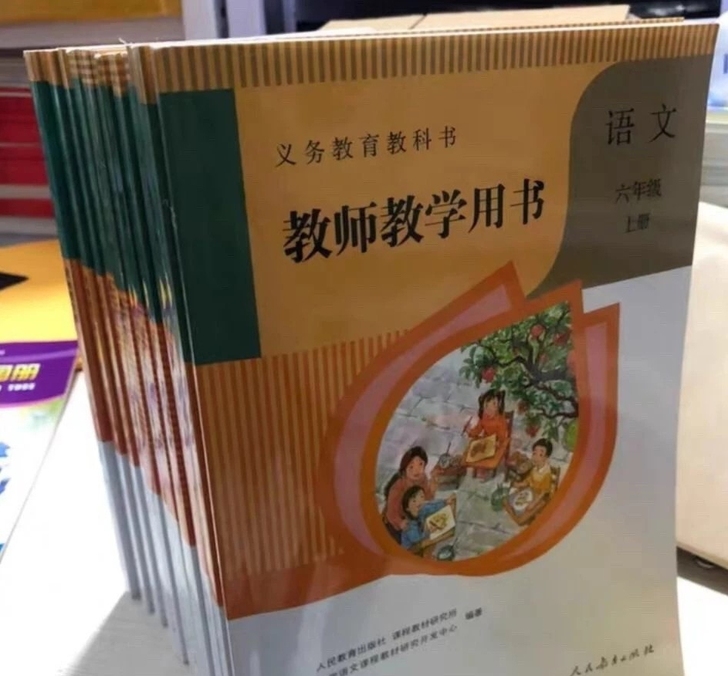 人教版部编版小学语文教参上下册全套语文教师...