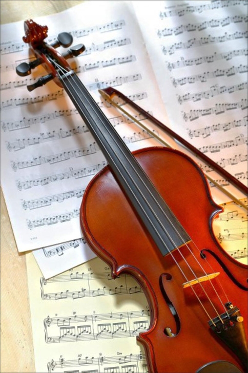 【琴行原800多小提琴处理】送全套小提琴初...