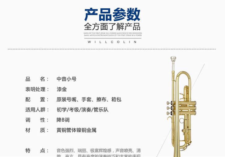 星海小号乐器降B调XT-120初学考级专业...