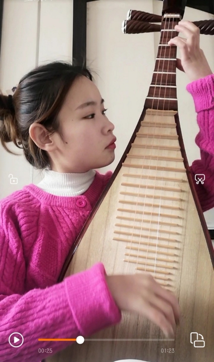 琵琶暑假陪练课 一对一  8节