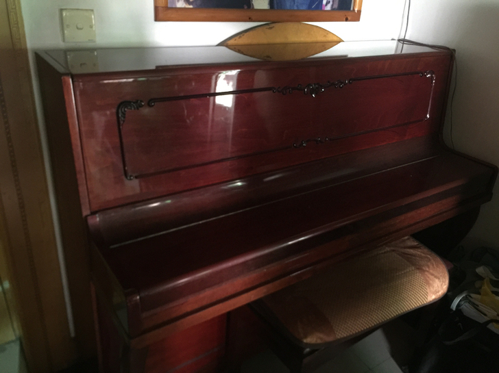 小时候学琴用的琴，95年左右买的，品牌是公...