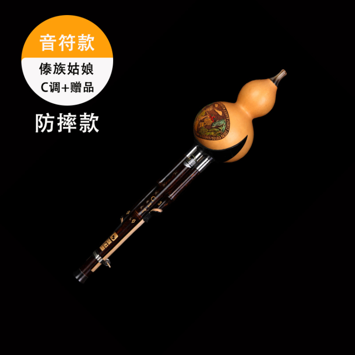 【吾折天价】云南葫芦丝乐器初学者小学生c调...