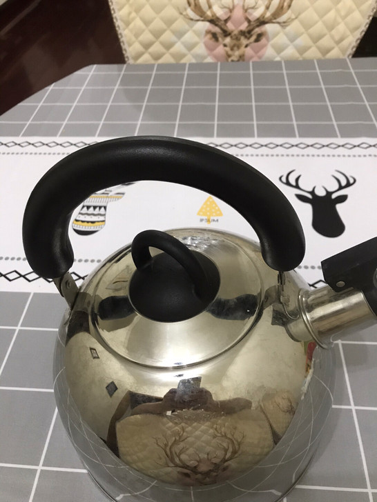 不锈钢小号气热水壶，全新，自提