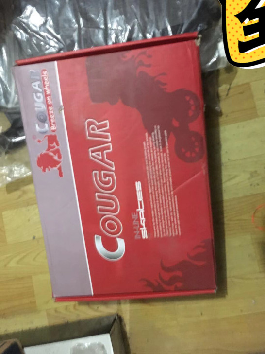 美洲狮平花轮滑鞋40    38