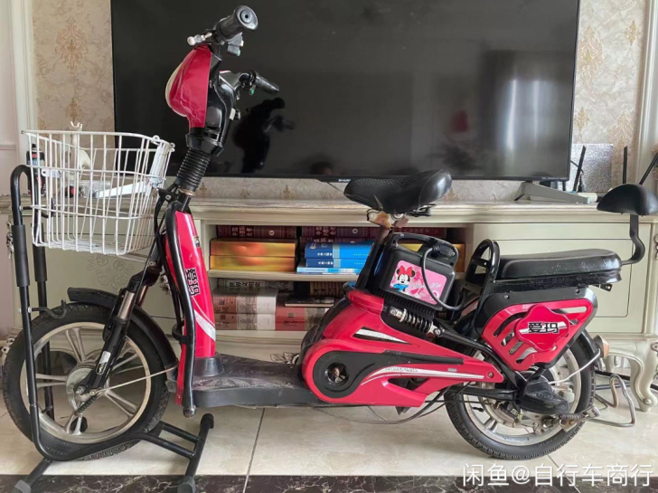 爱玛电动车 电动自行车 48V12A 至...