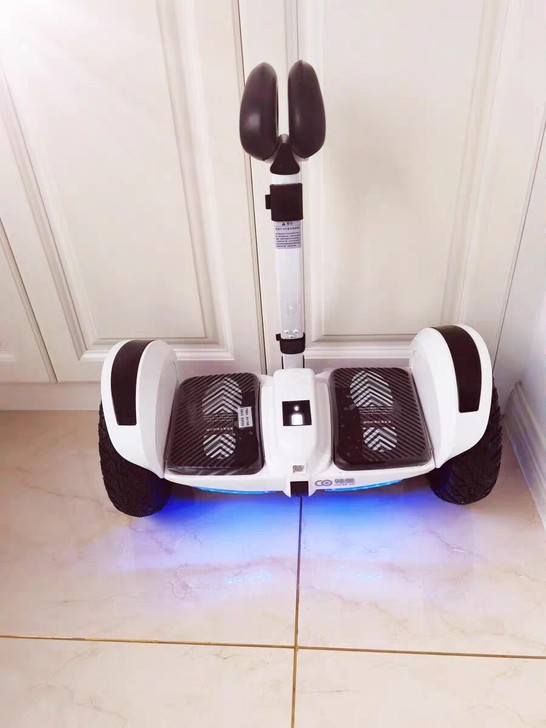 领奥官方旗舰店新款电动平衡车腿控成年智能儿...