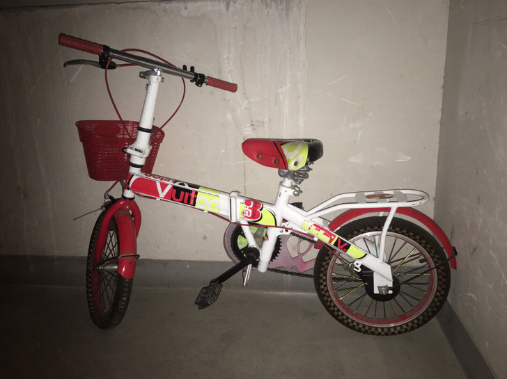 自行车第一台大的适合八九岁的孩子,后面两台...