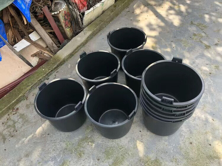 诱蜂桶，黑色塑料桶，水桶，桶桶桶8.5一个...