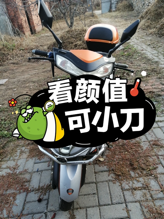 出闲置绿源品牌变频电动车，质量就是好，下坡...
