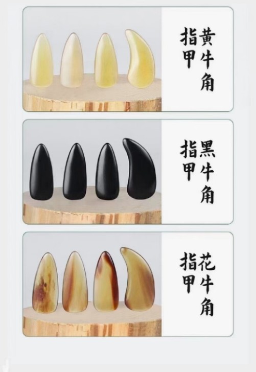 古筝指甲