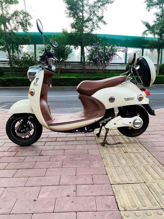 电瓶车 爱玛  买一送五 电动车