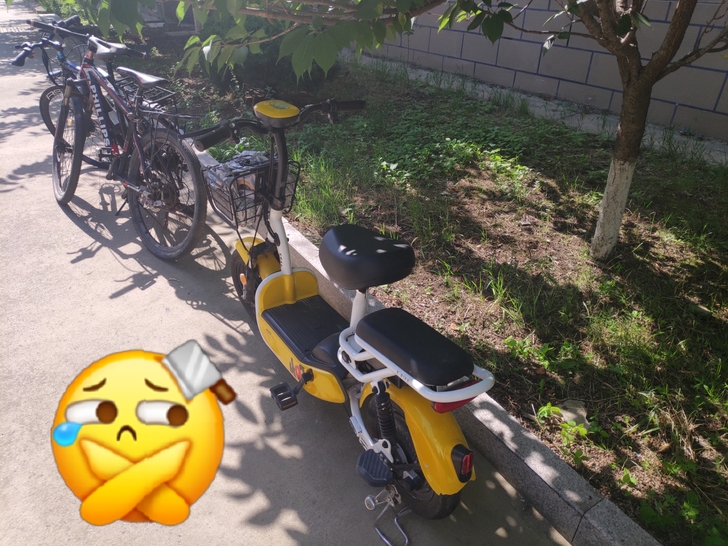 19年国庆购买，小刀电动车，原价1780元...