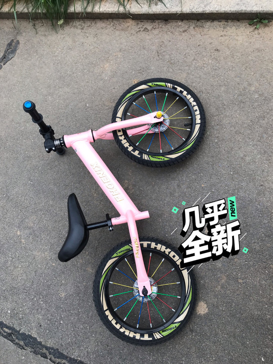 凤凰牌平衡车，基本全新，玩的很少，充气轮，...
