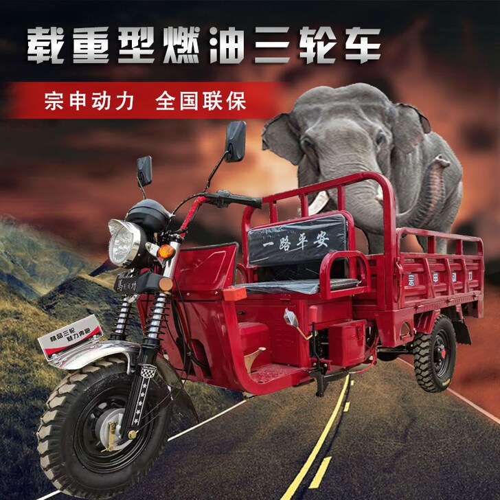 圣火神 摩托三轮车整车175型