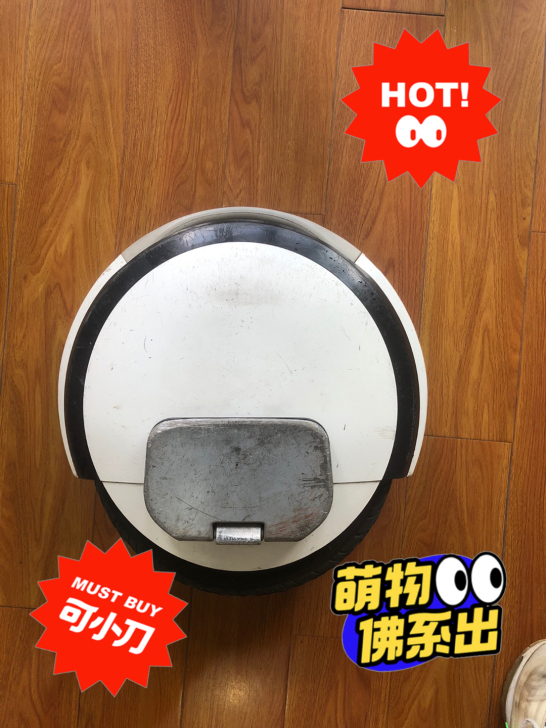 自已很爱惜的小米 9号平衡车 Ninebo...