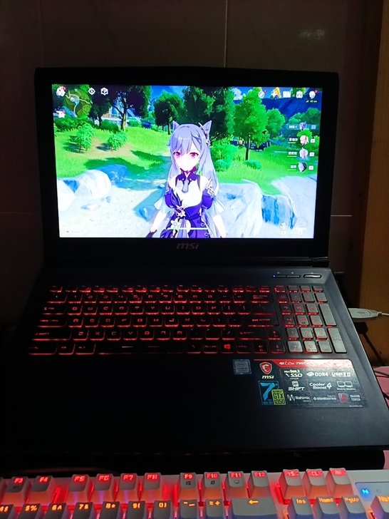 微星gl62m  深圳龙华自提