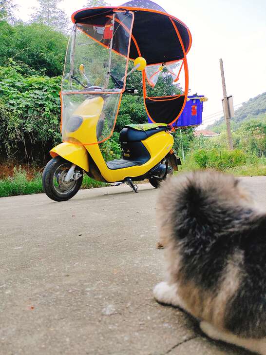 新日电驴，买来时是最新款，开了2年，里程8...