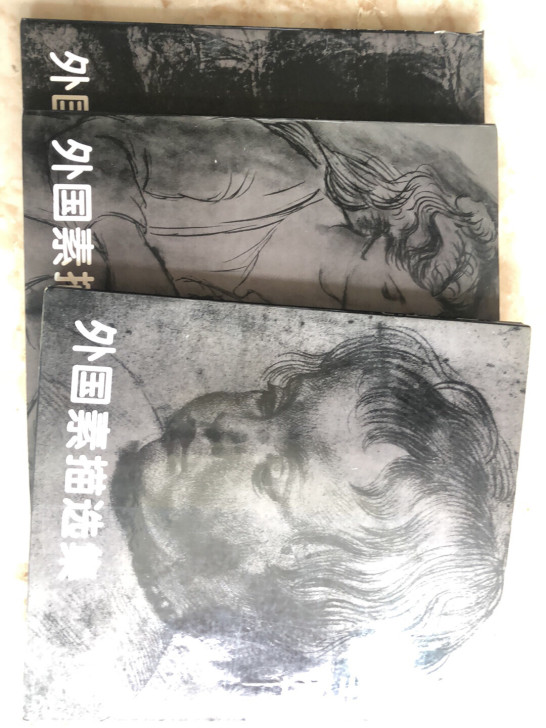 外国素描选集 3本/50元 不包邮 购于国...