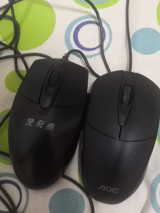 家里闲置的俩鼠标，有人买吗，一个五块钱吧，...