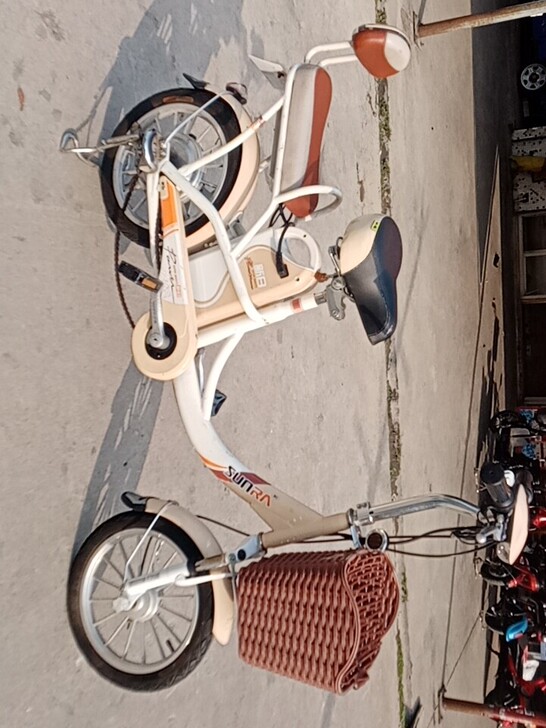 粉色系女士款轻便新日品牌电动车