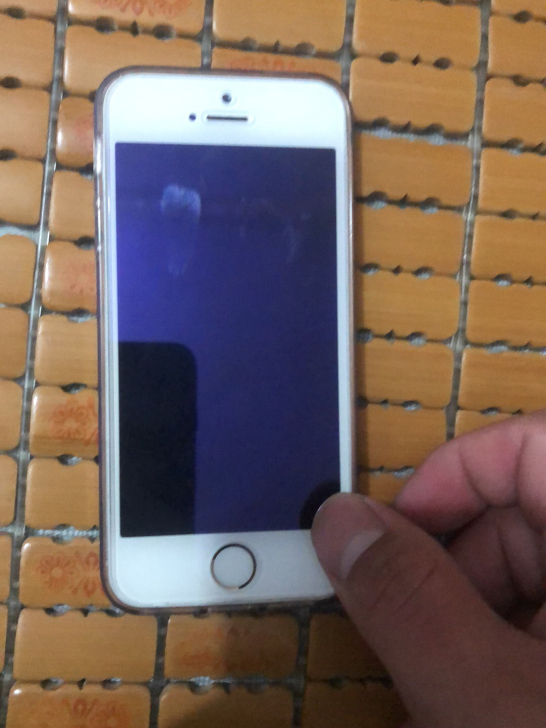 苹果5se国行16g，换了新外壳，原来的颜...