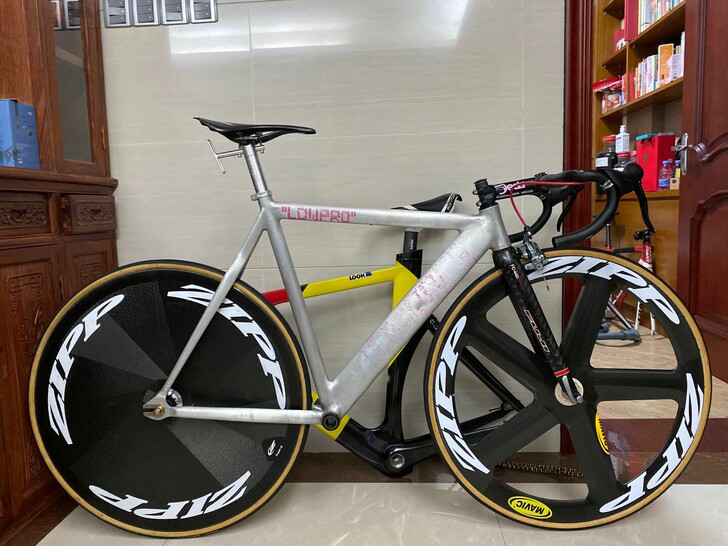 colossi lowpro specia...