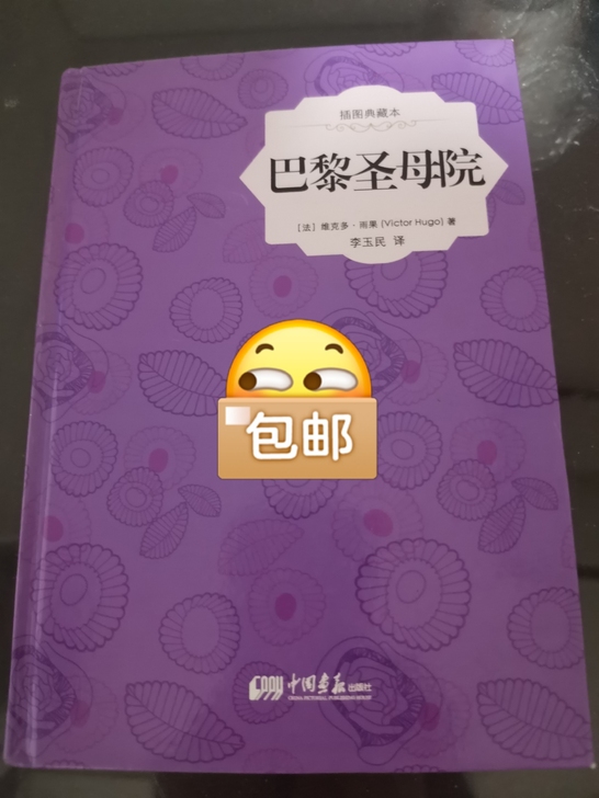 巴黎圣母院插图典藏版 几乎全新，本地新华书...