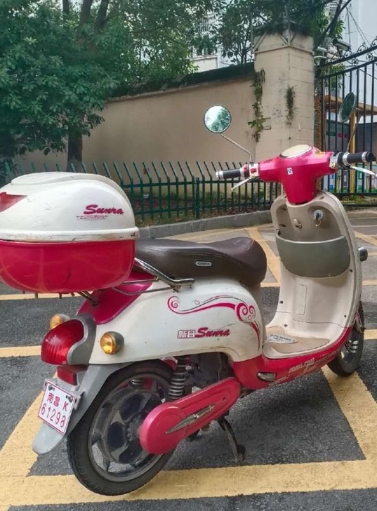 新日电动车,新换的电瓶和充电器