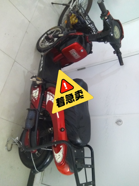 小刀牌48V电动车有冲电器和车牌,带电池,...