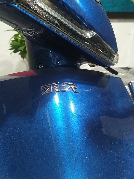 小牛电动车,爱玛电动车,永久电动车,凤凰电...