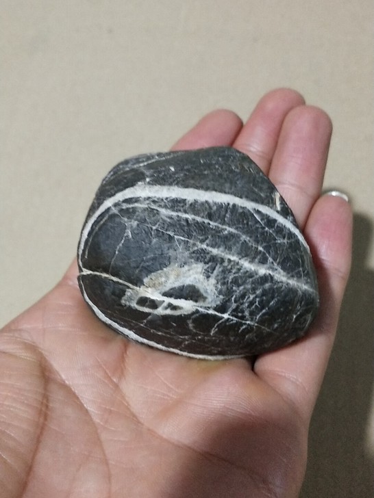 灵璧石 《银河系》
