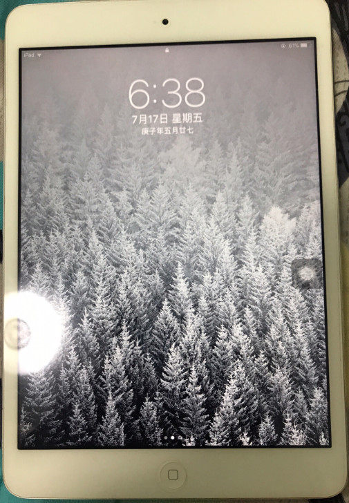 ipadmini2 有轻微划痕 其他很新 ...