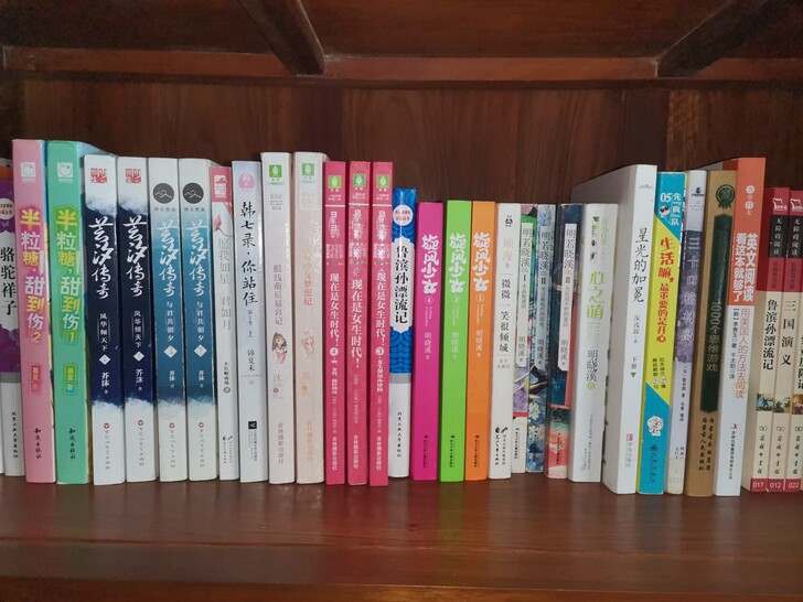 小说 言情 校园 励志 名著 意林小小姐 ...