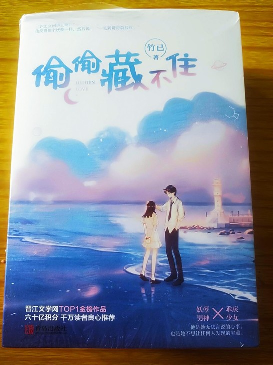 偷偷藏不住 全两册 竹已著青春文学校园言情...