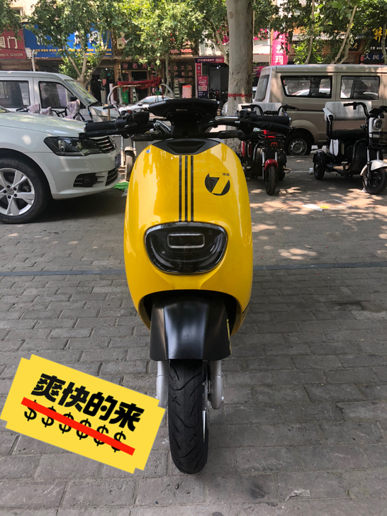 全新处理仅此一辆，大品牌绿源电动车60V2...