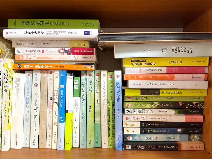 夏茗悠/辛夷坞/匪我思存/郭敬明/韩寒等系...