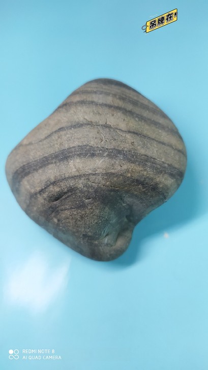 贵州乌江水系水冲石28。可摆设，把玩，镇纸...