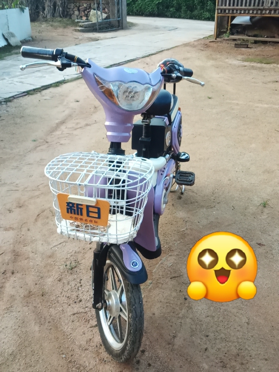 新日电动车,九成新,买给小姑娘用,总共没骑...